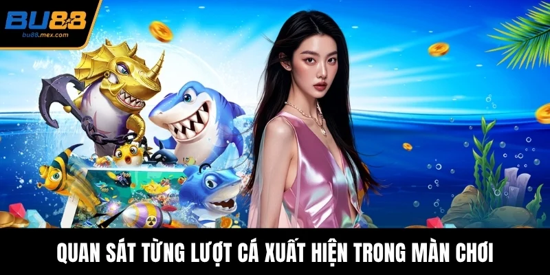 Quan sát từng lượt cá xuất hiện trong màn chơi